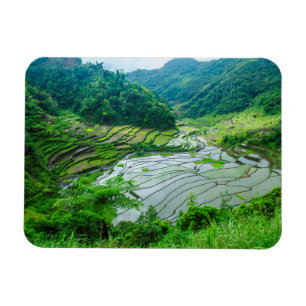 Imán Paisaje de terrazas de arroz, Filipinas