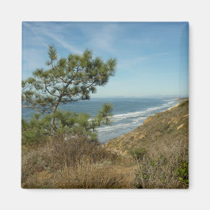 Imán Paisaje de Torrey Pine y costa de California