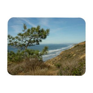 Imán Paisaje de Torrey Pine y costa de California