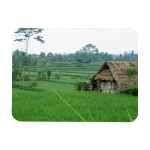 Imán Paisaje de Vietnam