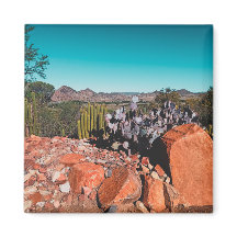 Paisaje del desierto de África Naturaleza Cactus P