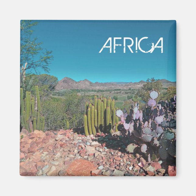 Imán Paisaje del desierto de África Naturaleza Cactus P (Frente)
