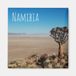 Imán Paisaje del desierto de Namibia Tirool Kokerboom