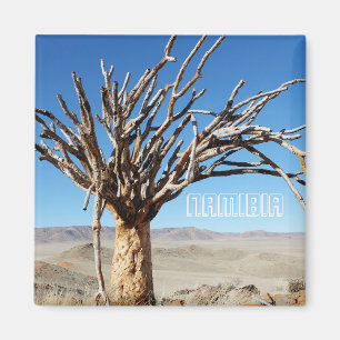 Imán Paisaje del desierto de Namibia Tirool Kokerboom