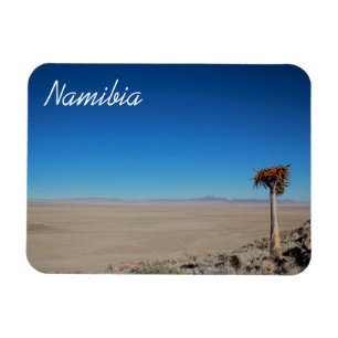 Imán Paisaje del desierto de Namibia Tirool Kokerboom