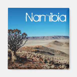 Imán Paisaje del desierto de Namibia Tirool Kokerboom