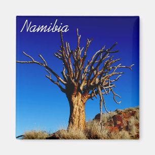 Imán Paisaje del desierto de Namibia Tirool Kokerboom
