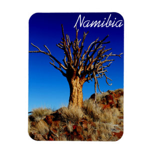 Imán Paisaje del desierto de Namibia Tirool Kokerboom