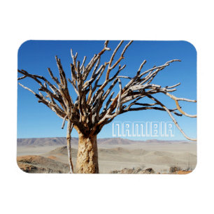 Imán Paisaje del desierto de Namibia Tirool Kokerboom