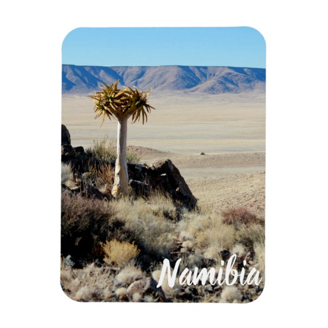 Imán Paisaje del desierto de Namibia Tirool Kokerboom (Vertical)
