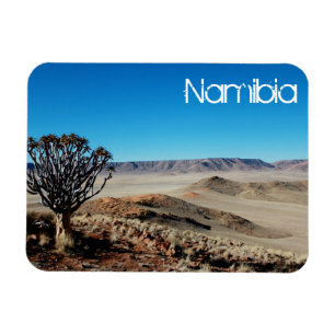 Imán Paisaje del desierto de Namibia Tirool Kokerboom