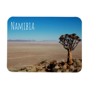 Imán Paisaje del desierto de Namibia Tirool Kokerboom