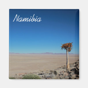 Imán Paisaje del desierto de Namibia Tirool Kokerboom