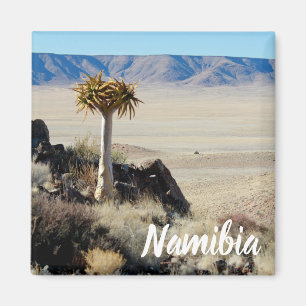 Imán Paisaje del desierto de Namibia Tirool Kokerboom