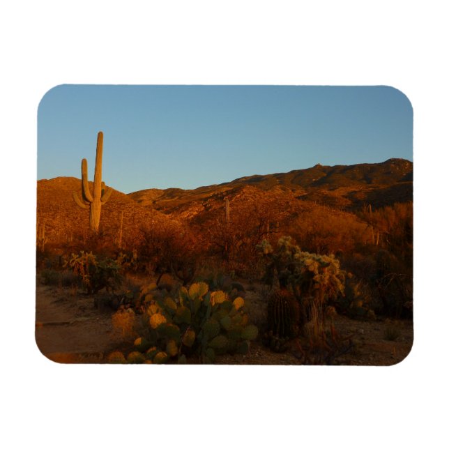 Imán Paisaje del desierto de Saguaro Sunset I Arizona (Horizontal)