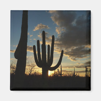 Imán Paisaje del desierto de Saguaro Sunset II Arizona