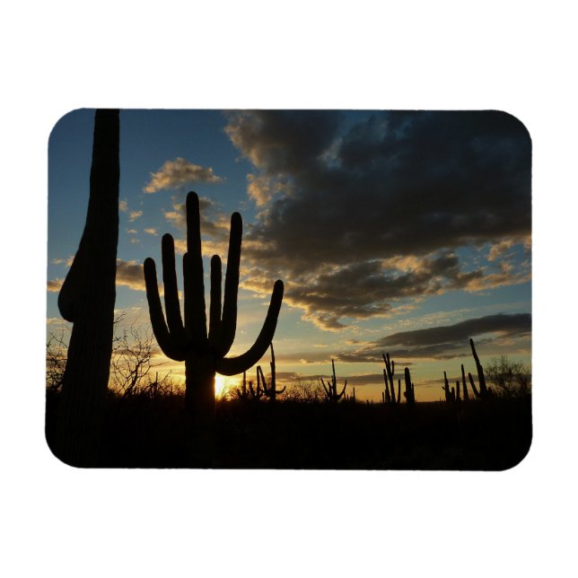 Imán Paisaje del desierto de Saguaro Sunset II Arizona (Horizontal)