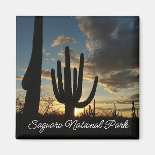 Imán Paisaje del desierto de Saguaro Sunset II Arizona