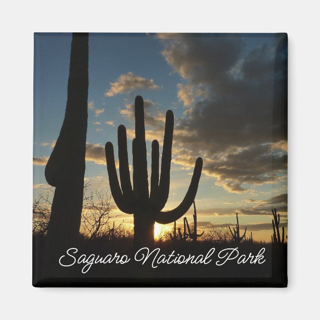 Imán Paisaje del desierto de Saguaro Sunset II Arizona (Frente)
