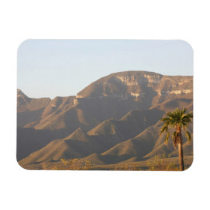 Imán Paisaje del rancho del desierto cerca de Monterrey