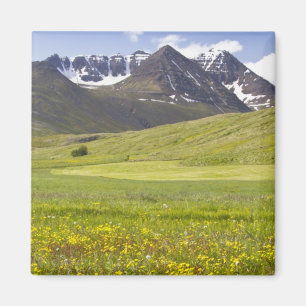 Imán Paisaje escénico del valle de Svarfadardalur