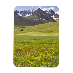 Imán Paisaje escénico del valle de Svarfadardalur