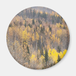 Imán Paisaje forestal de otoño dorado