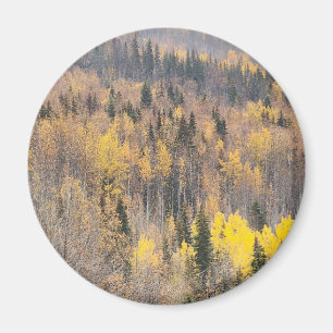 Imán Paisaje forestal de otoño dorado
