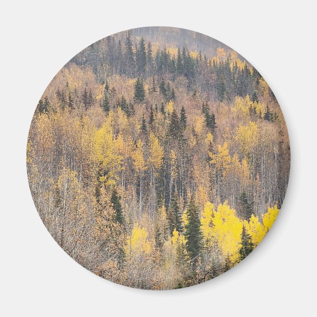 Imán Paisaje forestal de otoño dorado (Frente)