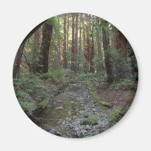 Imán Paisaje forestal del arroyo de Muir Woods