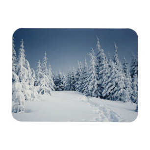 Imán Paisaje invernal