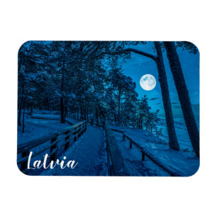 Imán Paisaje invernal con pinar cubierto de nieve