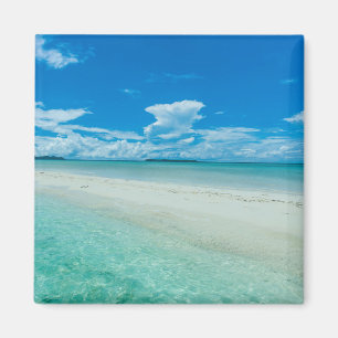 Imán Paisaje marino tropical azul, Palau