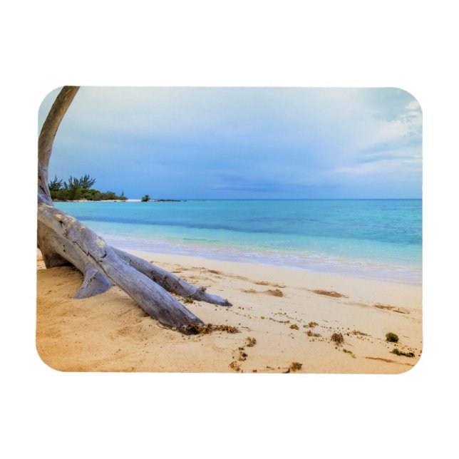 Imán Paisaje marítimo del Caribe (Horizontal)