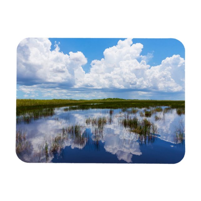 Imán Paisaje natural de Everglades (Horizontal)