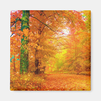 Imán Paisaje natural del otoño de Vermont