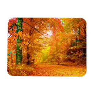 Imán Paisaje natural del otoño de Vermont