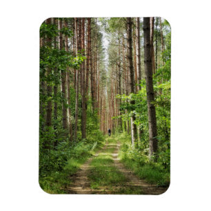 Imán Paisaje natural Paisaje Bosques Árboles Bielorrusi