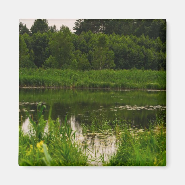 Imán Paisaje natural Paisaje Paisaje Bosque Estanque (Frente)