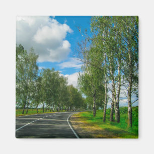 Imán Paisaje natural Paisaje Rural Bielorrusia Árboles 