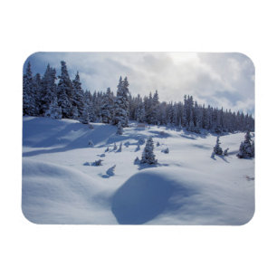 Imán Paisaje Nevado