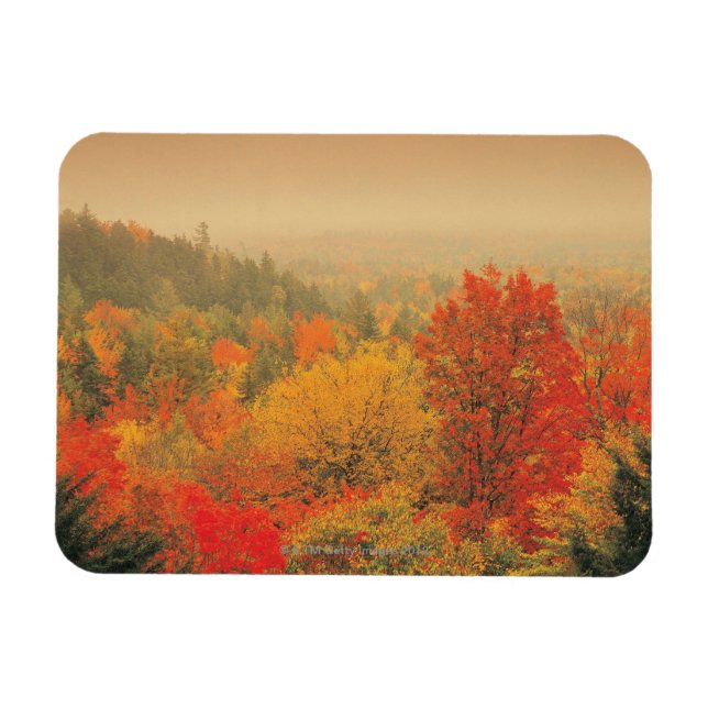 Imán Paisaje otoñal, New Hampshire, Estados Unidos (Horizontal)