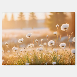 Imán Paisaje Panorámico La Naturaleza De Meadow Entorno