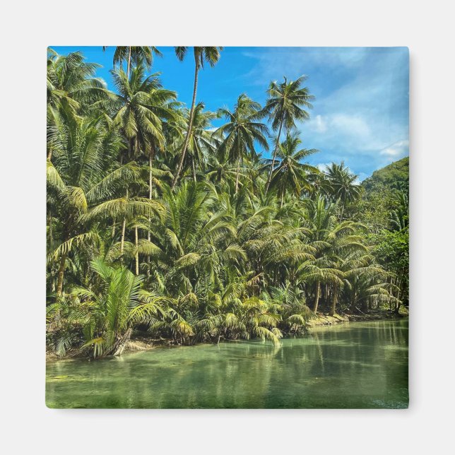 Imán Paisaje tropical, filipinas, caídas de Kawasan Cas (Frente)
