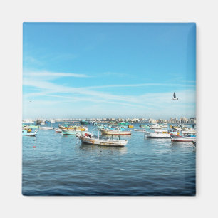 Imán paisaje urbano