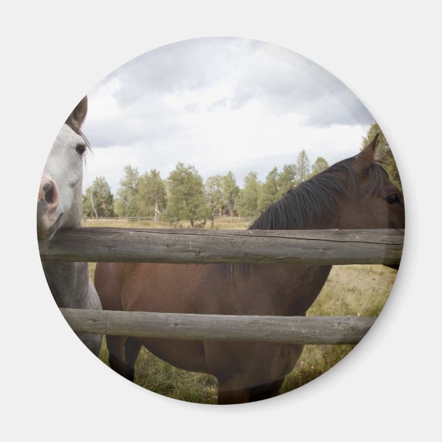 IMÁN PAISAJES DE PAÍSES (Frente)