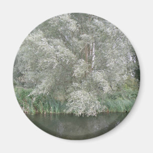 Imán paisajístico de árboles blancos y ríos