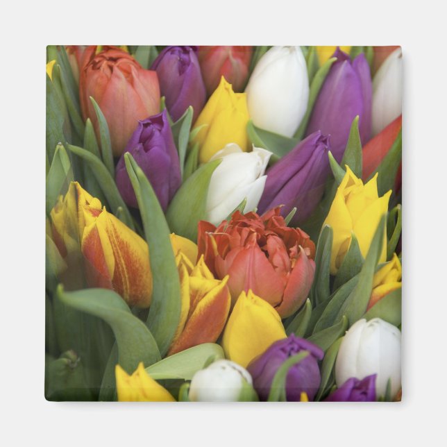 Imán Países Bajos, Holanda del Sur, Amsterdam (Frente)