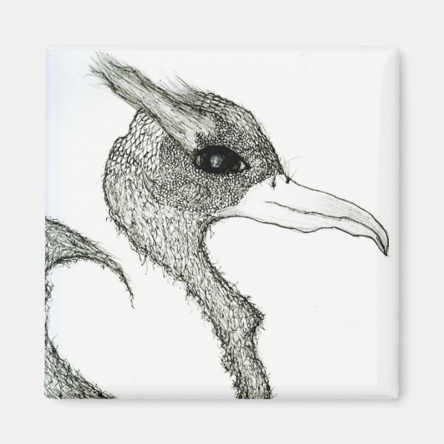 Imán pájaro (Frente)