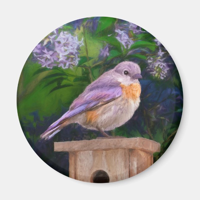 Imán Pájaro azul oriental en nieve - Fotografía origina (Frente)